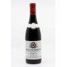 Mazis Chambertin Grand Cru 2021 Domaine Harmand Geoffroy 75 cl 319,00 € Côte de Nuits chez Millésimes à la Carte