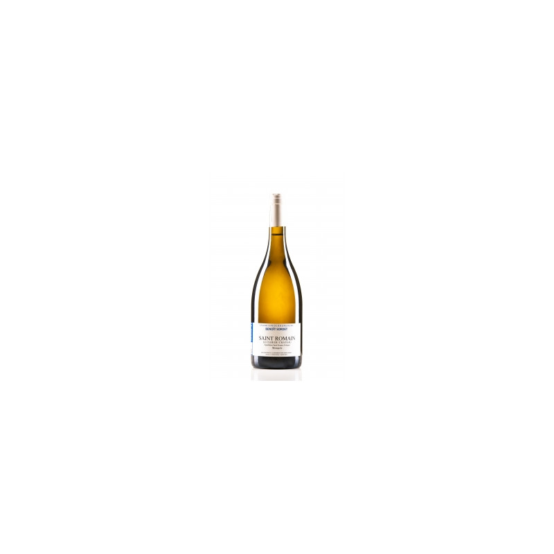 Saint Romain Clos du Château Monopole 2022 Domaine Benoit Sordet 75 CL 35,00 € Vins de Bourgogne chez Millésimes à la Carte