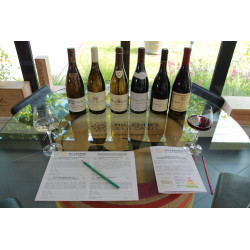 Dégustation Le Meilleur de la Bourgogne - Spécial Ventes des Vins 2025 70,00 € Dégustations chez Millésimes à la Carte