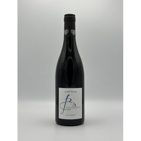 Bourgogne Cuvée Barbara 2023 Domaine Patrick Miolane 75 cl 19,50 € Rouge chez Millésimes à la Carte