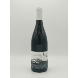 Côteaux Bourguignons Gamay 2022 Naïma et David Didon 75cl 24,00 € Rouge chez Millésimes à la Carte