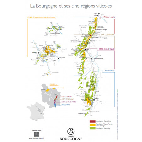 Dégustation Découverte de la Bourgogne 25,00 € Dégustations permanentes chez Millésimes à la Carte