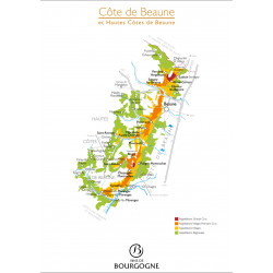 Dégustation Découverte de la Bourgogne 25,00 € Dégustations permanentes chez Millésimes à la Carte