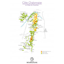 Dégustation Découverte de la Bourgogne 25,00 € Dégustations permanentes chez Millésimes à la Carte