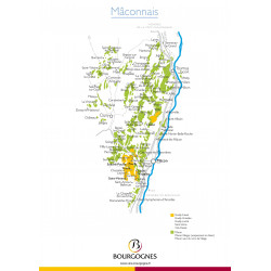 Dégustation Découverte de la Bourgogne 25,00 € Dégustations permanentes chez Millésimes à la Carte