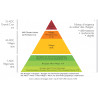 Dégustation La Pyramide des Crus 35,00 € Dégustations chez Millésimes à la Carte